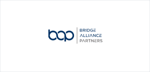 Bridge Alliance Partners